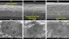 Palestine Polytechnic University (PPU) - Dr. Mahmoud Nassar Publishes a Paper on a New Method for High-Performance Natural Fiber Extraction