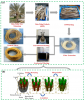 Palestine Polytechnic University (PPU) - Dr. Mahmoud Nassar Publishes a Paper on a New Method for High-Performance Natural Fiber Extraction