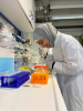 Palestine Polytechnic University (PPU) - Applied Biology - Biotechnology Graduates Excel in Biotechnology Profession Exam at the Palestinian Ministry of Health