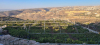 Palestine Polytechnic University (PPU) - المشاركة في مشروع بحثي بين جامعة بوليتكنك فلسطين وجامعة جورجيا التقنية ضمن مشروع Agrivoltaic Vineyards.