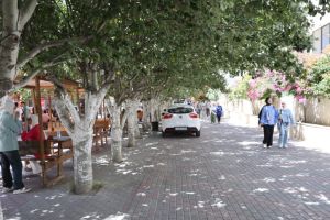 Palestine Polytechnic University (PPU) - مناقشات مشاريع التخرج كلية التمريض 2023/2024