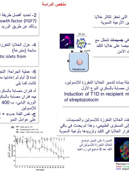 Palestine Polytechnic University (PPU) - جامعة ألبرتا-إدمنتون الكندية تشيد بجهود "البوليتكنك" بابتكار طريقة للاستغناء عن إبر الإنسولين